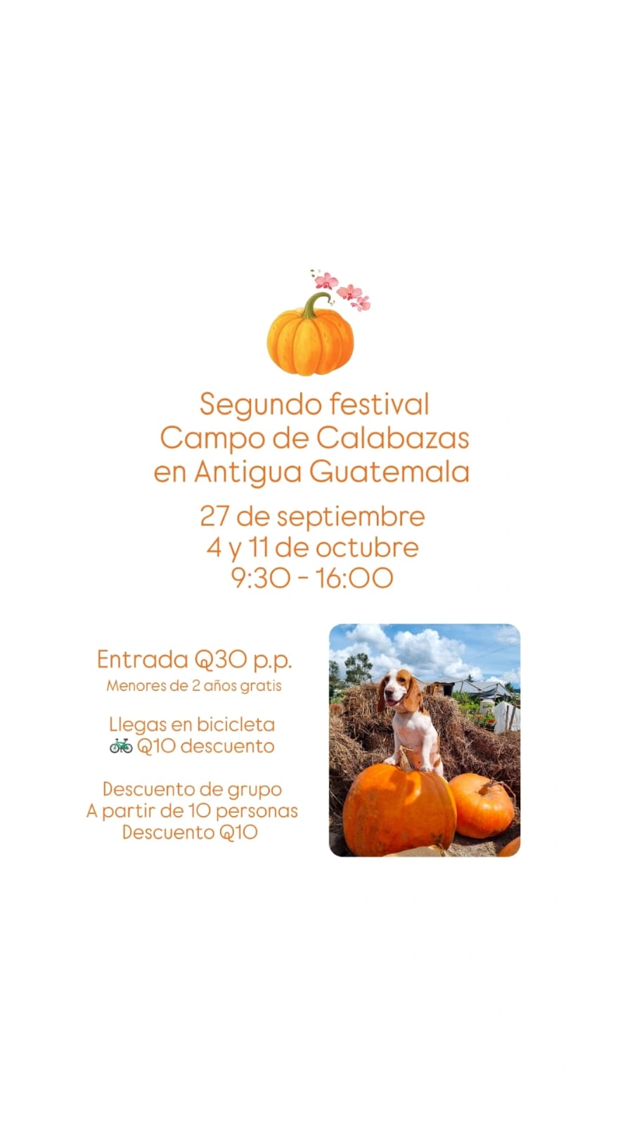 Segundo festival Campo de Calabazas photo 1