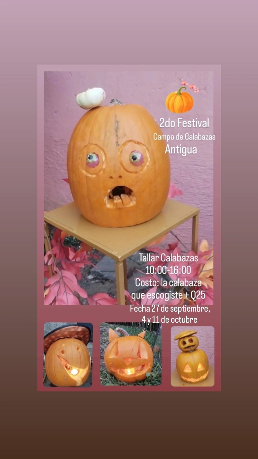 Segundo festival Campo de Calabazas photo 2